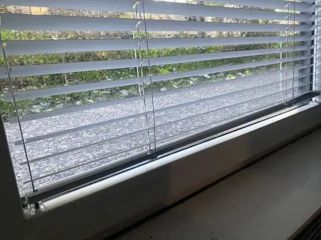 Gros plan sur les lames en aluminium blanc d’un store vénitien et son câble de guidage latéral